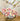 Maison Matine Perfume