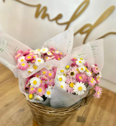 Maison Matine Perfume