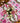 Bec Fing Designs Tablecloth - Roses Check
