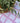 Bec Fing Designs Tablecloth - Pink Check