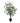 Potted Artificial Eucalyptus Tree