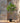 Potted Artificial Fig Tree - 92cm