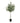 Potted Artificial Olive Tree - 80cm