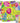 Notebook Set Supernova