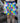 Bec Fing Designs Board Shorts Lattice