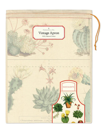 Vintage Apron Succulents