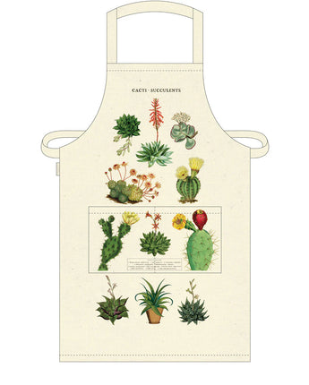 Vintage Apron Succulents
