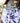 Bec Fing Designs Tablecloth Charcoal Berries