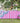 Bec Fing Designs Tablecloth - Hot Pink Stripe