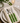 Bistro Cutlery Green