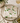 Hydrangea Ivory Napkin 20 Pack