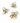 Satin Ivory Button Cover