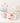 Scallop Mug Various
