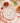 Organic Side Plate