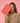 Flat Pouch - Various Colours