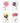 Notecards Set In Bloom - Pink