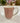 Fluted Mug Red Stripe