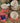 Bec Fing Designs Coaster Set 4 - 2 DESIGNS