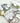 Plaited Pearl Hair Elastics - 2 Pack