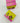 Wild Frangipani & Rose Air Freshener