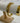 Greybird Harper 16mm Gold Bangle