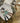 Salad Servers Black