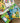 Notecards Wallet - The Very Hungry Caterpillar