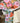 Luxe A6 Notebook Floral