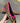Fluor Leopardo Ballet