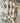 Anjou French Pear Scented Hanging Sachets