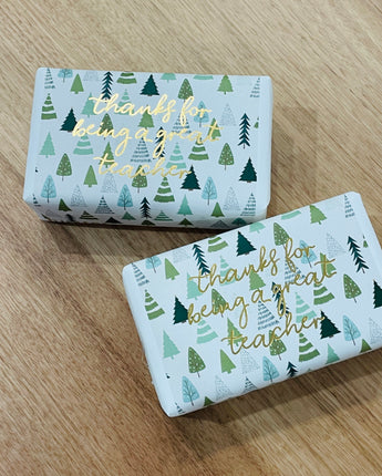 Thanks For Being A Great Teacher Soap Tree