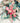 Liberty Fabric Shoelaces