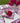 Bec Fing Designs Peonies Napkins - Set of 4
