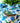 Bec Fing Designs Tablecloth Hydrangeas