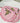 Bloom Coin Purse