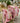 Bloom Ruffle Cosmetic Bag Pink - 2 Sizes