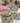 Bloom Pouch Trio Set