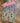 Bloom Clutch - Various Colours