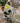Spot Mug Navy/Yellow