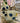 Spot Mug Navy/Yellow