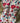 Kantha Quilt Birds - Assorted