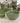 Yoghurt Bowl Eucalyptus
