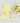 Citron Cedar Diffuser 100mL