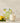 Limetta Glass Cloche Candle