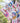 Pyjama Shorts White Chooks