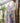 Nightie Green Chook