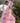 Nightie Stripe Floral Pink