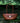 Nova Bag Tan