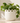 Dixon Ceramic Pot White Small
