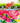 Bec Fing Designs Tablecloth - White Floral